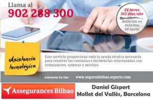 Assegurances Bilbao, Mollet del Vallès, Barcelona, assistència tecnològica, asistencia tecnológica.Comercios Mollet