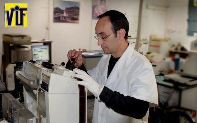 Color VIF laboratorio fotográfico profesional Barcelona, foto digital y analógica barato, fotos DNI, revelado ONLINE,Revelar fotos barato en Barcelona,ampliaciones