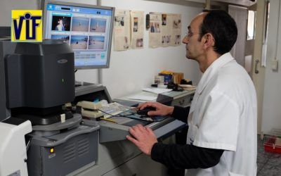 Color VIF laboratorio fotográfico profesional Barcelona, foto digital y analógica barato, fotos DNI, revelado negativos y escanear