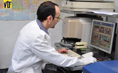 Una tienda donde revelar fotos en Barcelona, Colorvif laboratorio fotográfico profesional