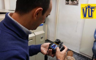 Fotos DNI o ficha Linkedin en Barcelona, al instante, Colorvif laboratorio fotográfico